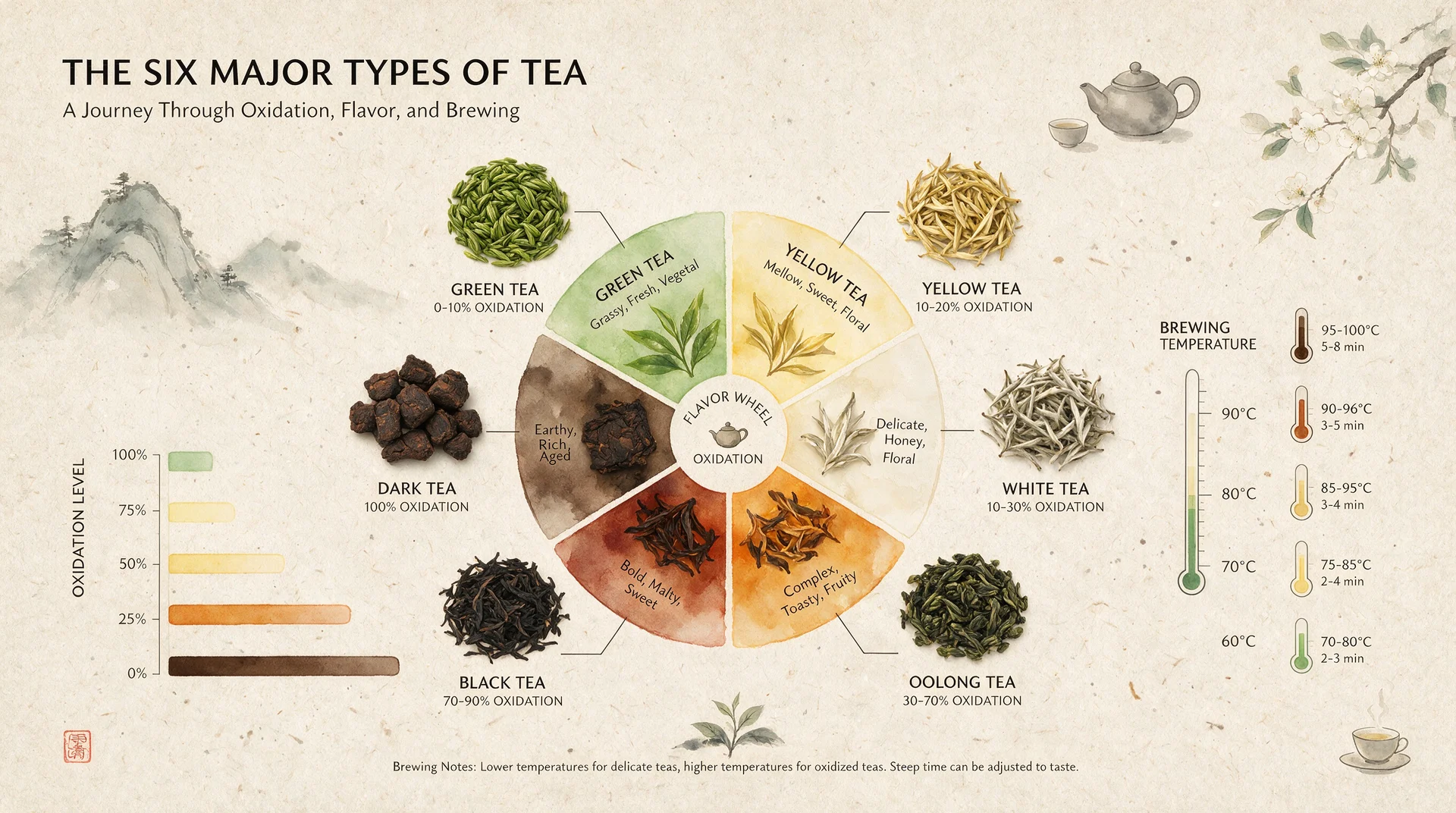 Dense Infographics in One Pass
